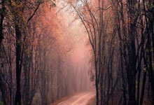 韩振：岁月如歌，生日快乐！