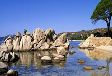 韩振：岁月如歌，生日快乐！